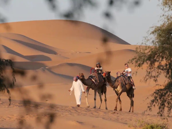 Abu Dhabi Morning Desert Safari Tour: Dune Bashing and Camel Riding | Dubai